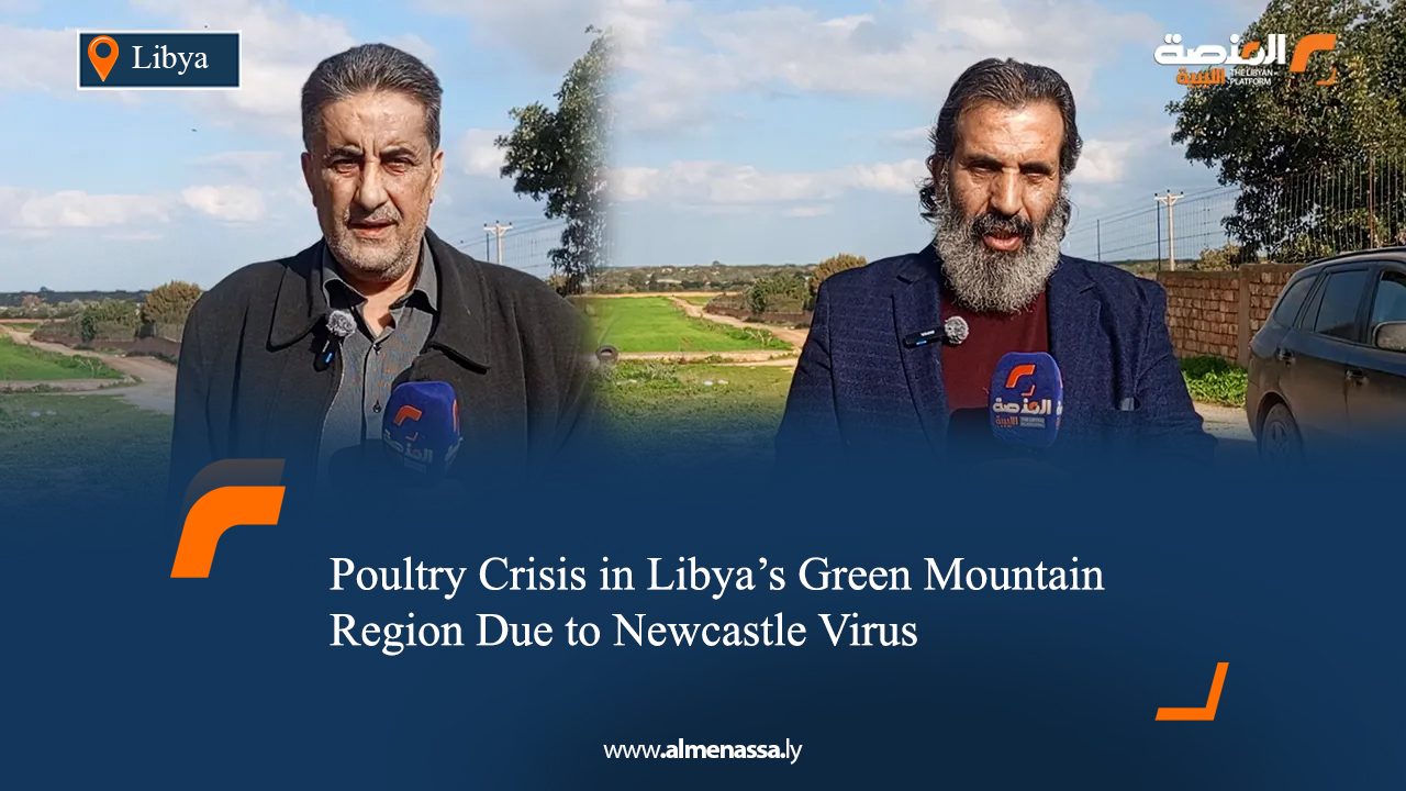 Poultry Crisis in Libya’s Green Mountain Region Due to Newcastle Virus