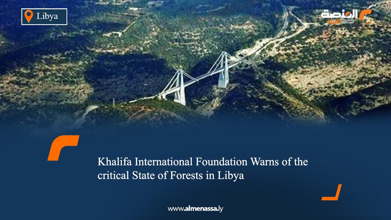 Khalifa International Foundation Warns of the critical State of Forests in Libya 